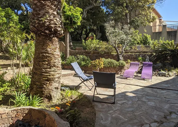 L'acacia - D'argent A 300m 科蒂基亚瓦里