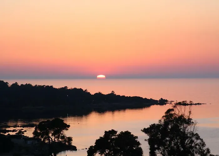 度假居 L'acacia - D'argent A 300m 科蒂基亚瓦里