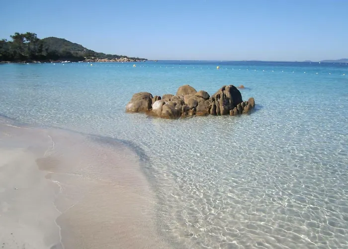 L'acacia - D'argent A 300m * 科蒂基亚瓦里